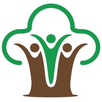 Banyan Nation Logo